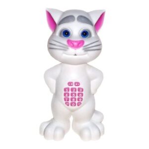 Intelligent Talking Cat