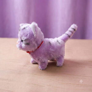 Cat Toy